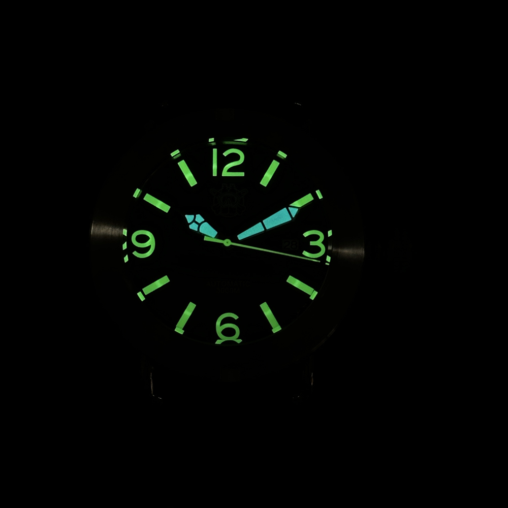 Steeldive 2025 Horloge SD1912  - Seiko Watch Prospex recensie en prijs